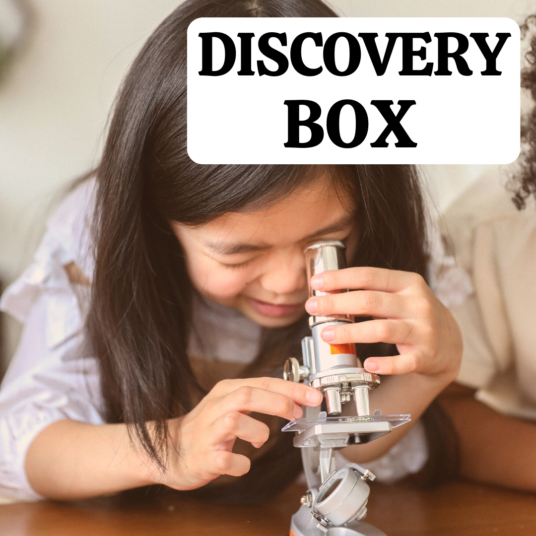 Beer Discovery Box